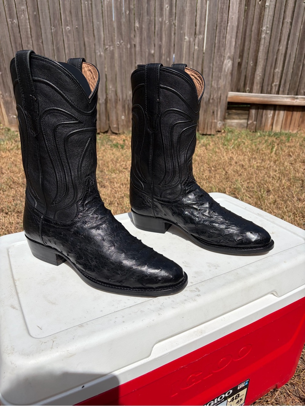 9 EE Tecovas Ostrich "The Wyatt"